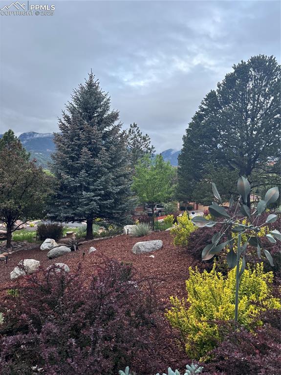 Image 36 of 46: Gorgeous autumn landscaping colors!