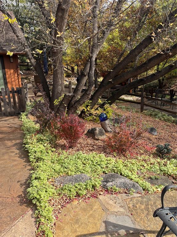 Image 39 of 46: Gorgeous autumn landscaping colors!