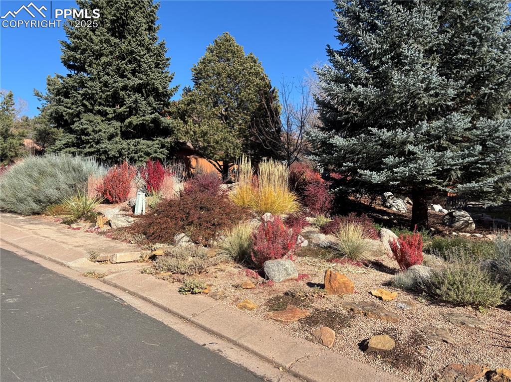 Image 41 of 46: Gorgeous autumn landscaping colors!