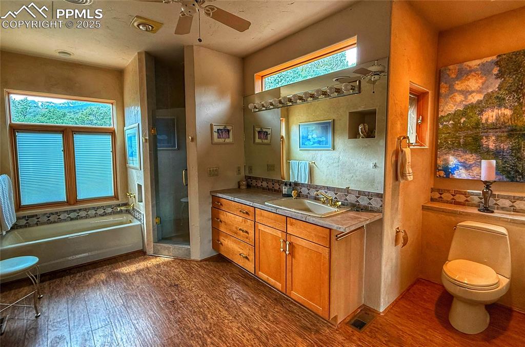 Image 11 of 20: Jetted Tub and separate shower and HUGE walk in closet.
