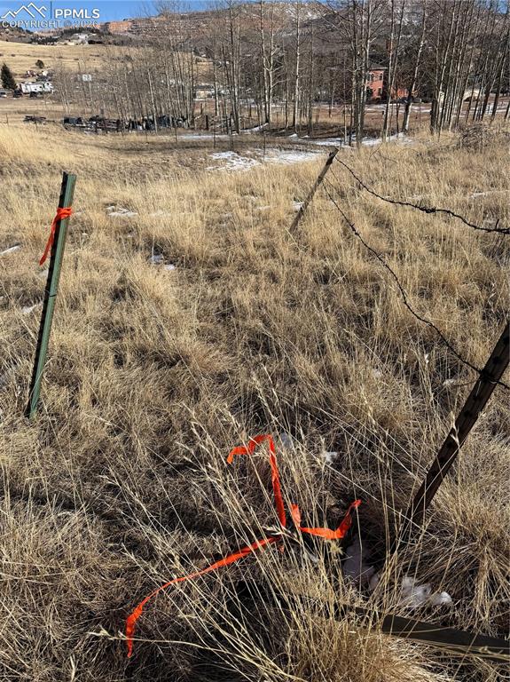 Image 11 of 16: Other