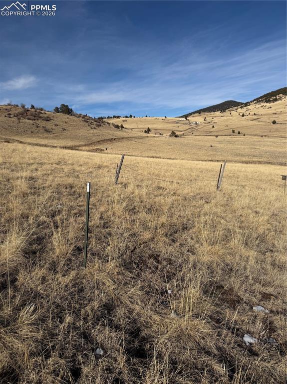 Image 12 of 16: Yard