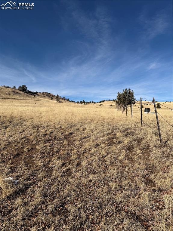 Image 14 of 16: Yard