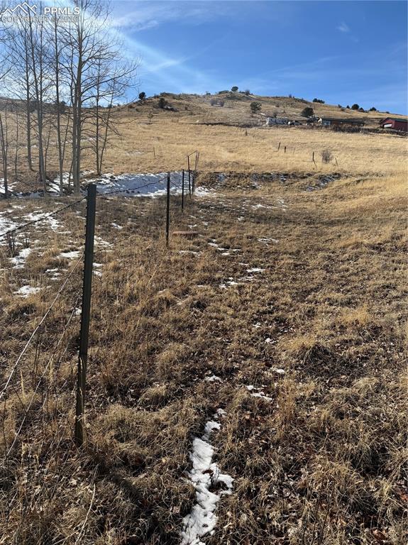 Image 16 of 16: Yard