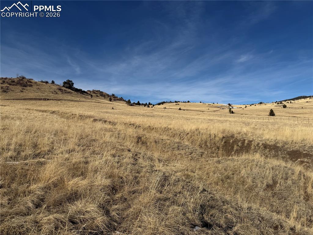 Image 3 of 16: Other