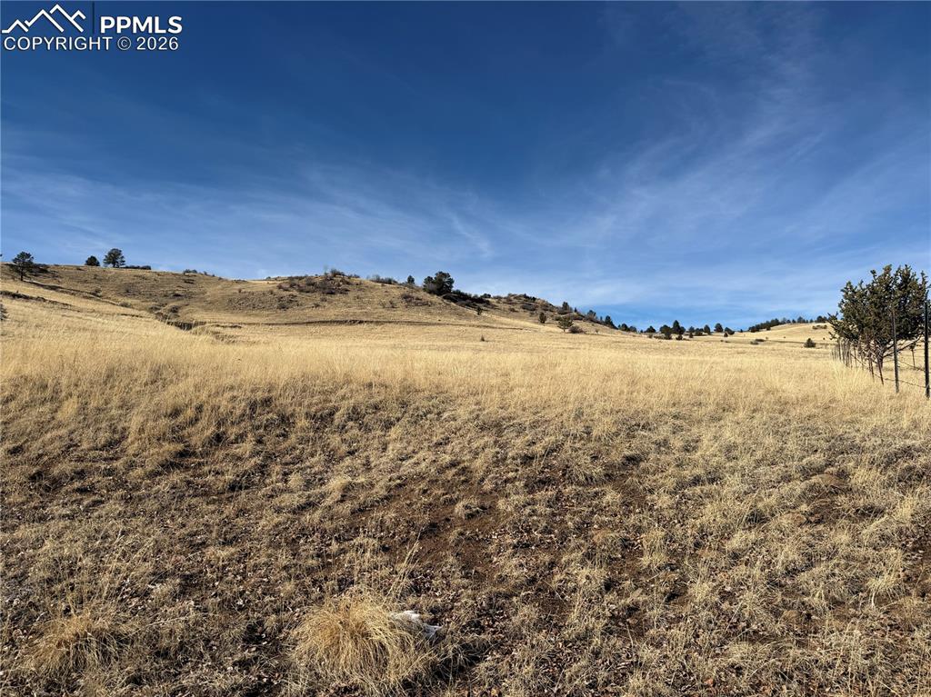 Image 7 of 16: Other