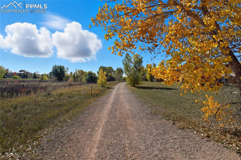 Image 44 of 45: Community