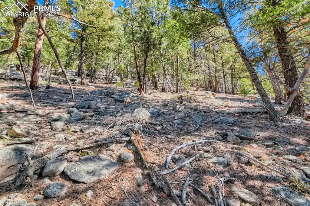 Image 10 of 27: View of undeveloped land