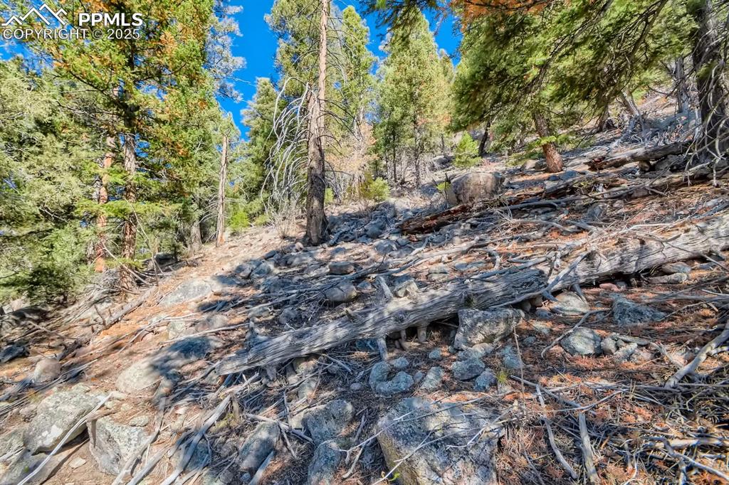 Image 13 of 27: View of nature