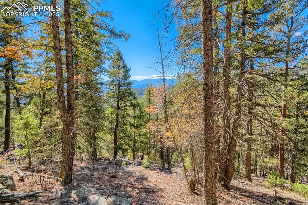 Image 16 of 27: View of wooded area with a mountain view