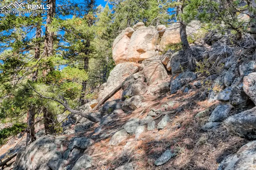 Image 19 of 27: View of local wilderness