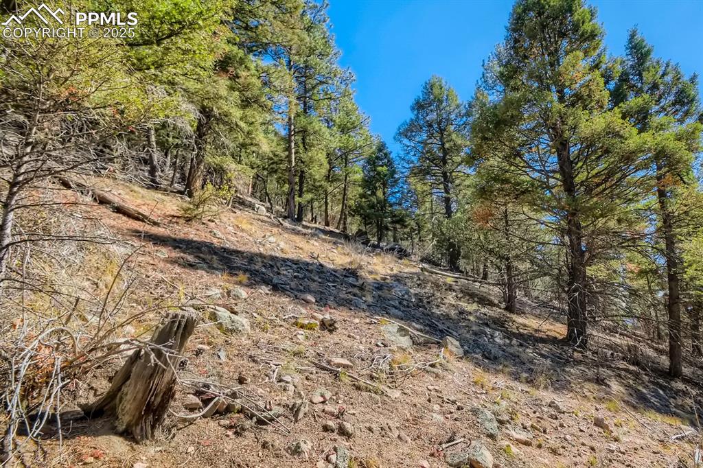 Image 24 of 27: View of wooded area