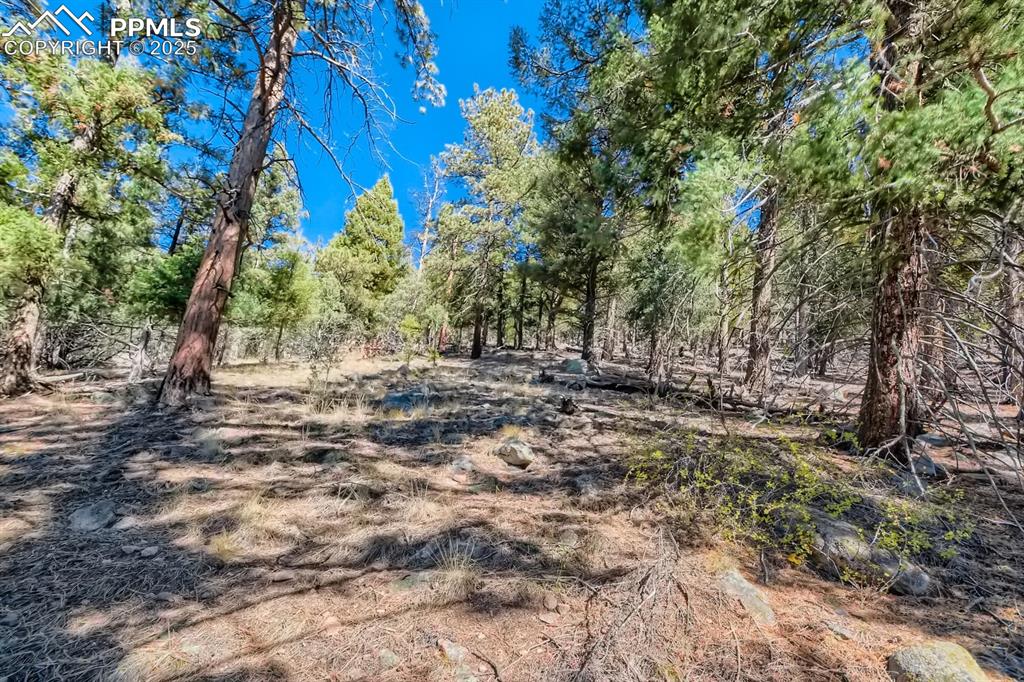 Image 4 of 27: View of nature