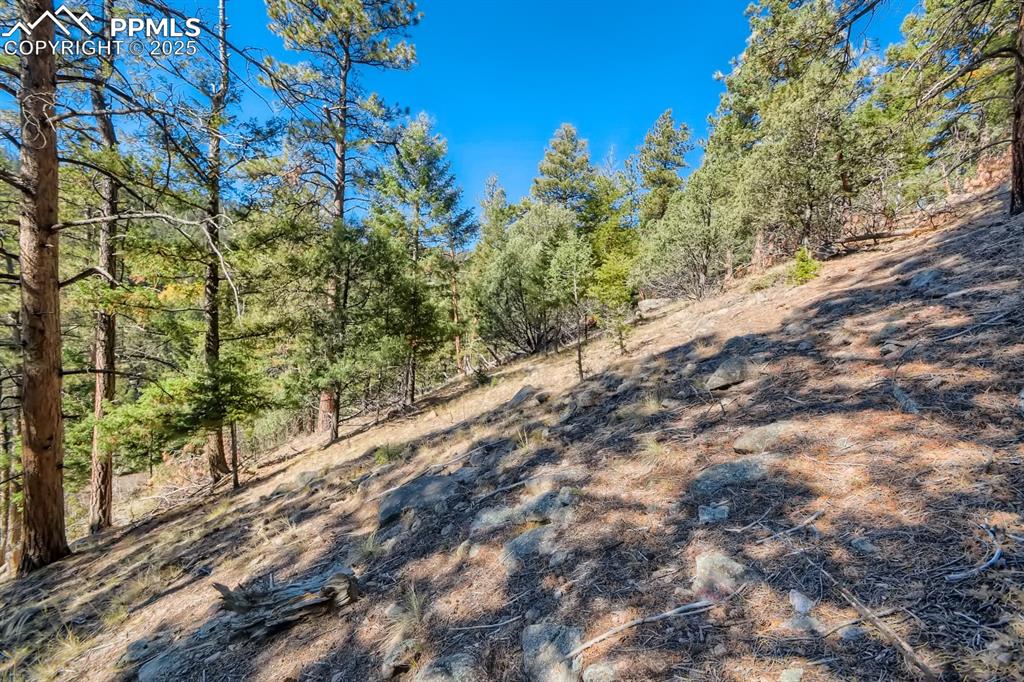 Image 5 of 27: View of yard with a view of trees