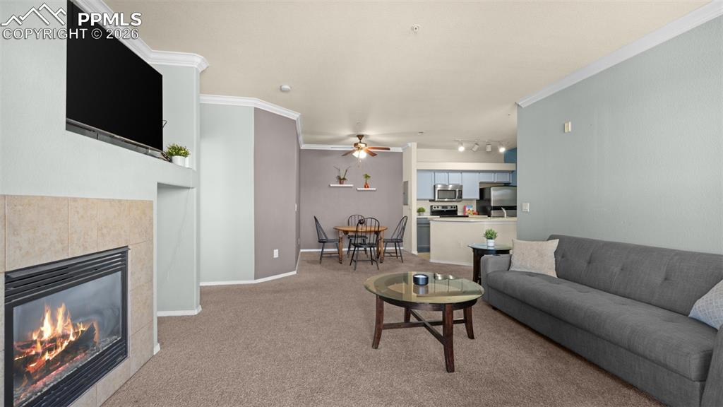 Image 19 of 30: No Description Available