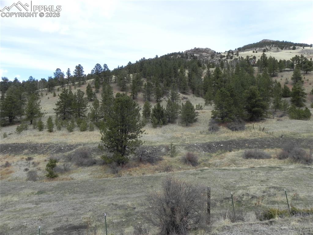 Image 11 of 11: View