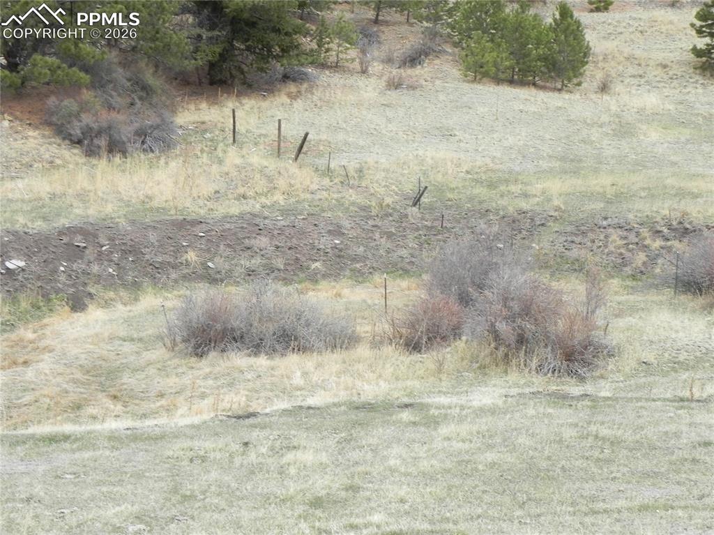 Image 4 of 11: Other