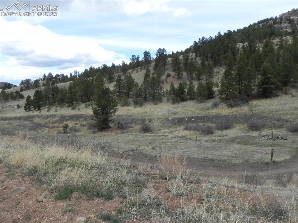 Image 6 of 11: Other