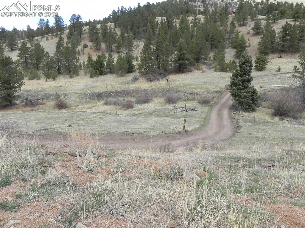 Image 7 of 11: Other