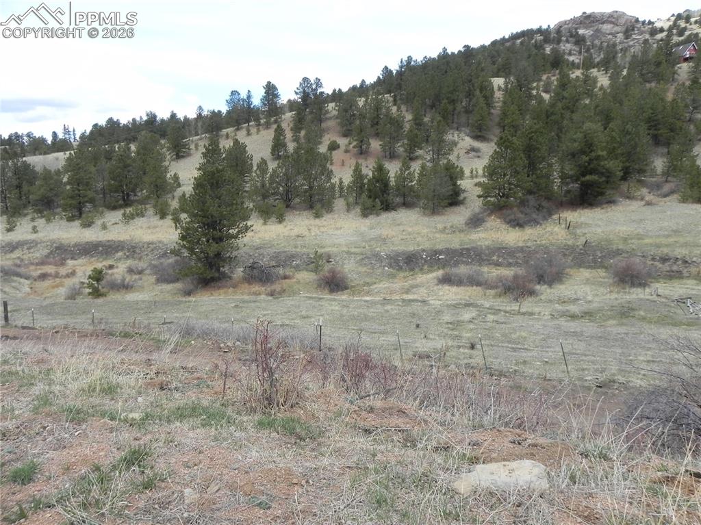 Image 8 of 11: Other