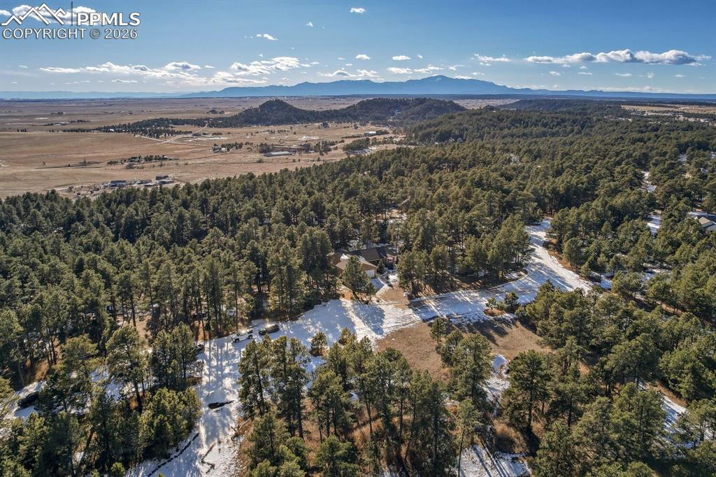 Image 11 of 50: Aerial View