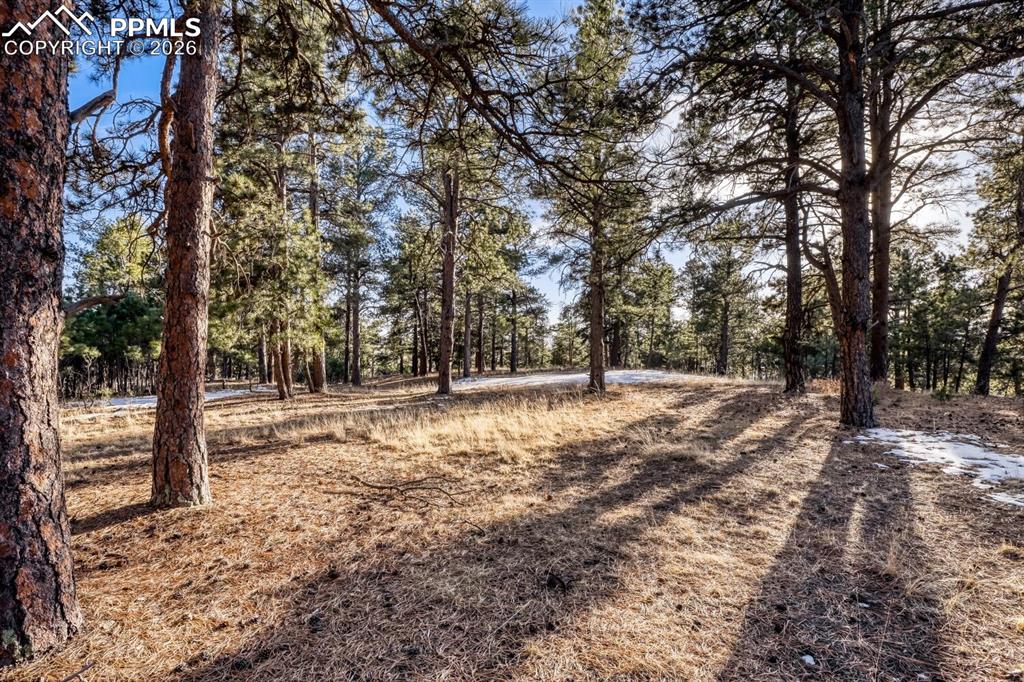 Image 49 of 50: Other