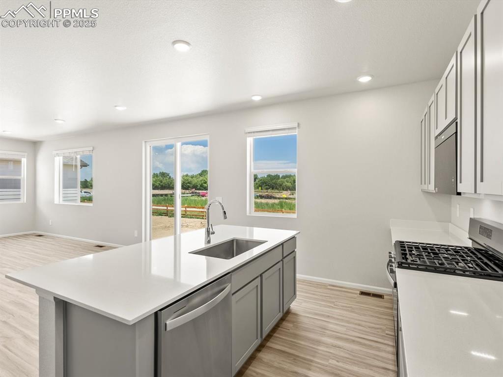 Image 13 of 44: Kitchen with light wood-type flooring, stainless steel appliances, gray cab