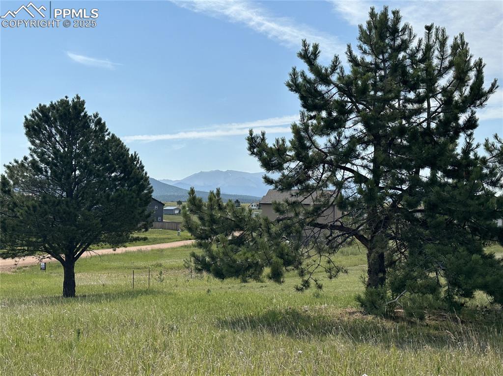Image 7 of 18: View