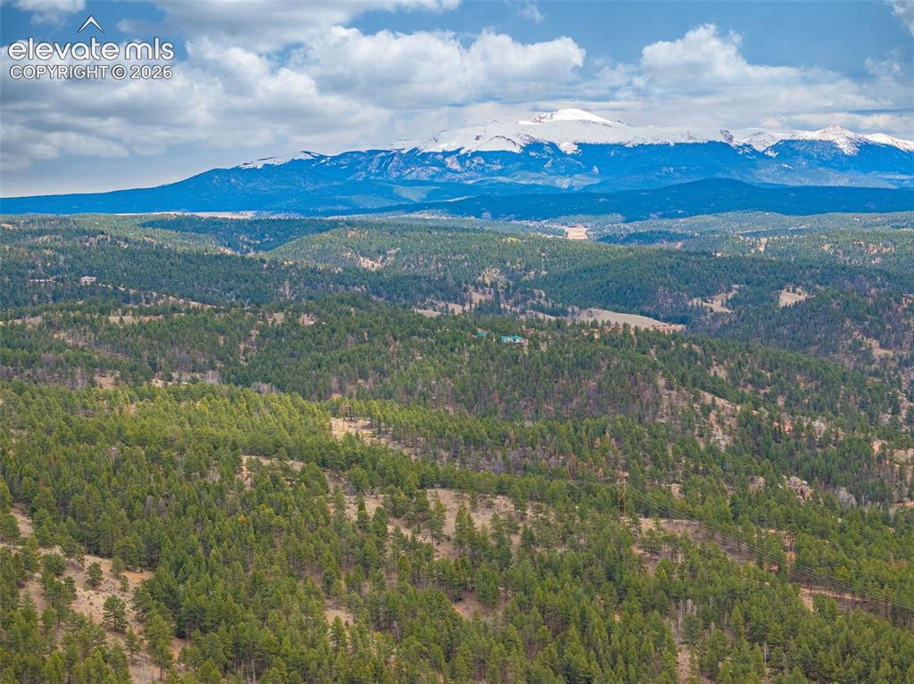 Image 40 of 47: View