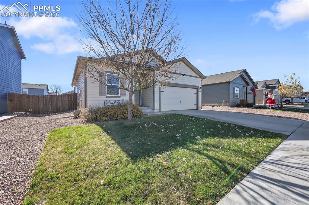 Image 35 of 37: Front of Structure