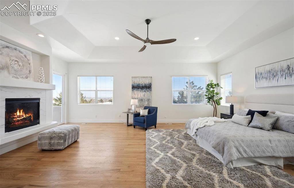 Image 8 of 31: Bedroom with a raised ceiling, multiple windows, light wood-type flooring, 