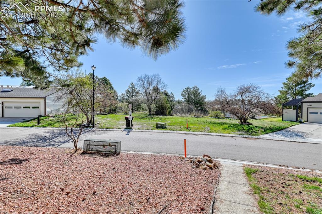 Image 35 of 38: Area is dog friendly with sidewalks and grass