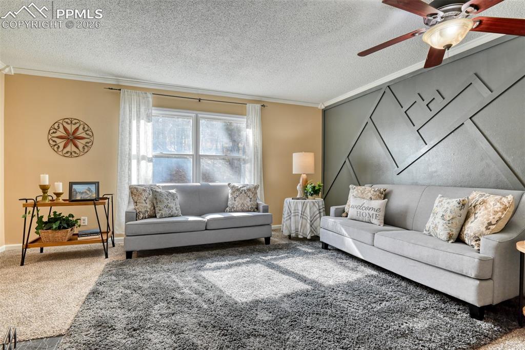Image 6 of 38: Living room has ceiling fan, crown molding, new paint and carpet.