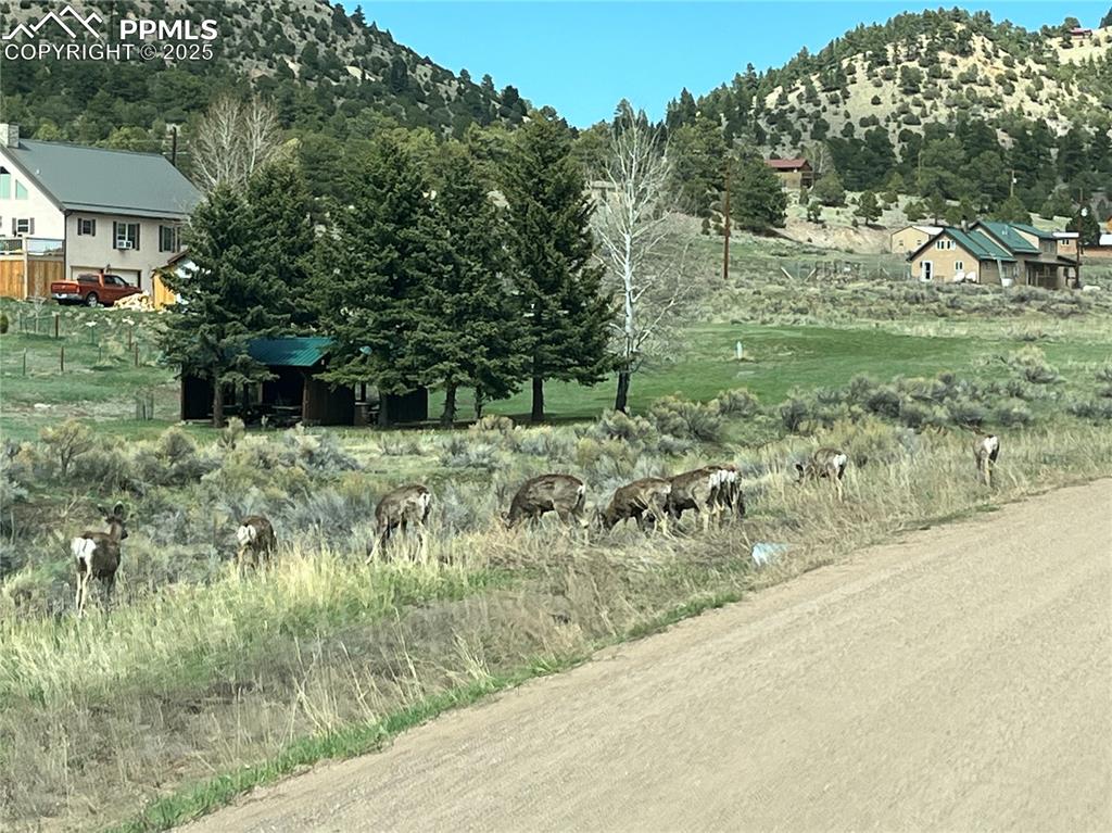 Image 28 of 28: Wildlife in the surrounding areas.