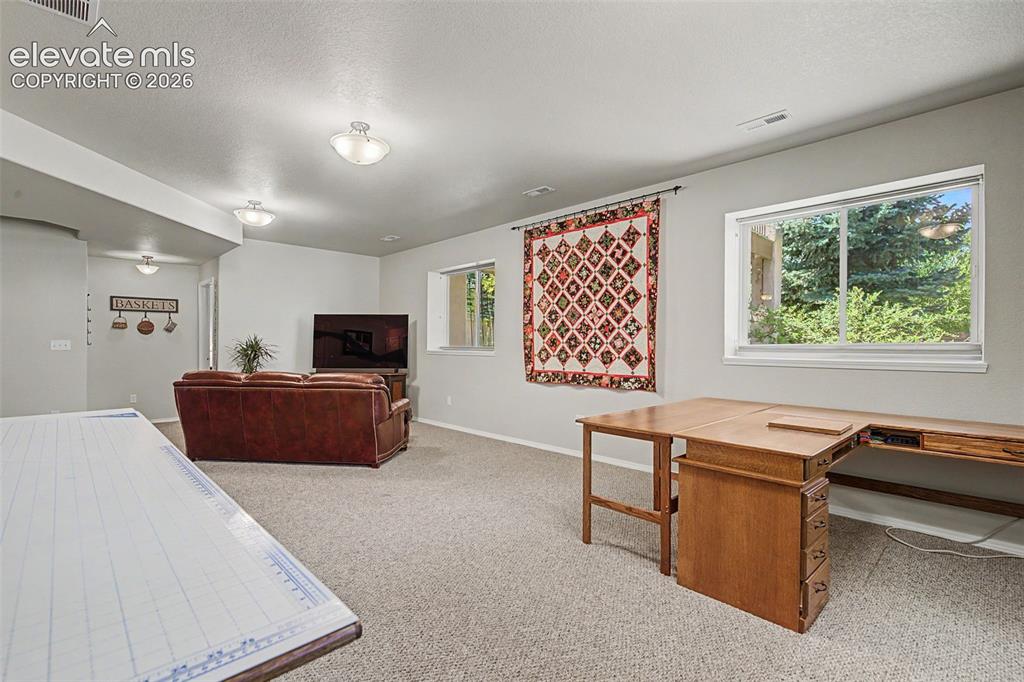 Image 20 of 31: Garden level basement windows bring the outdoors in with sunshine and view