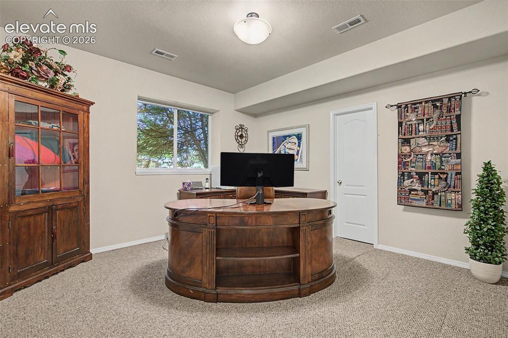 Image 21 of 31: Basement bedroom with garden window and walk-in closet.