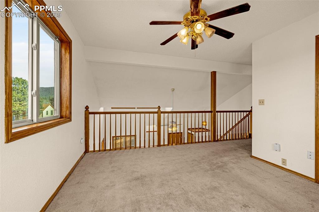 Image 16 of 33: Other