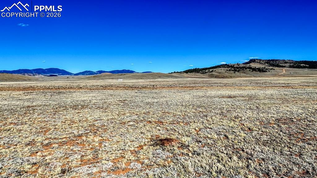 Image 8 of 26: View