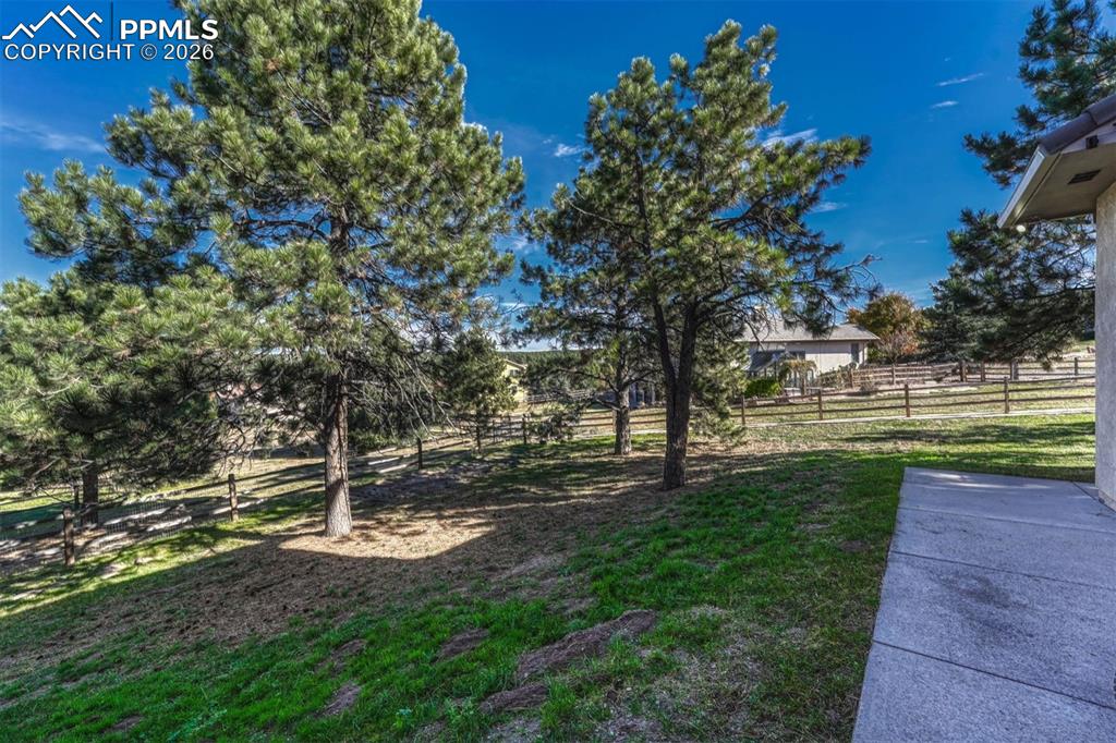 Image 46 of 46: Yard