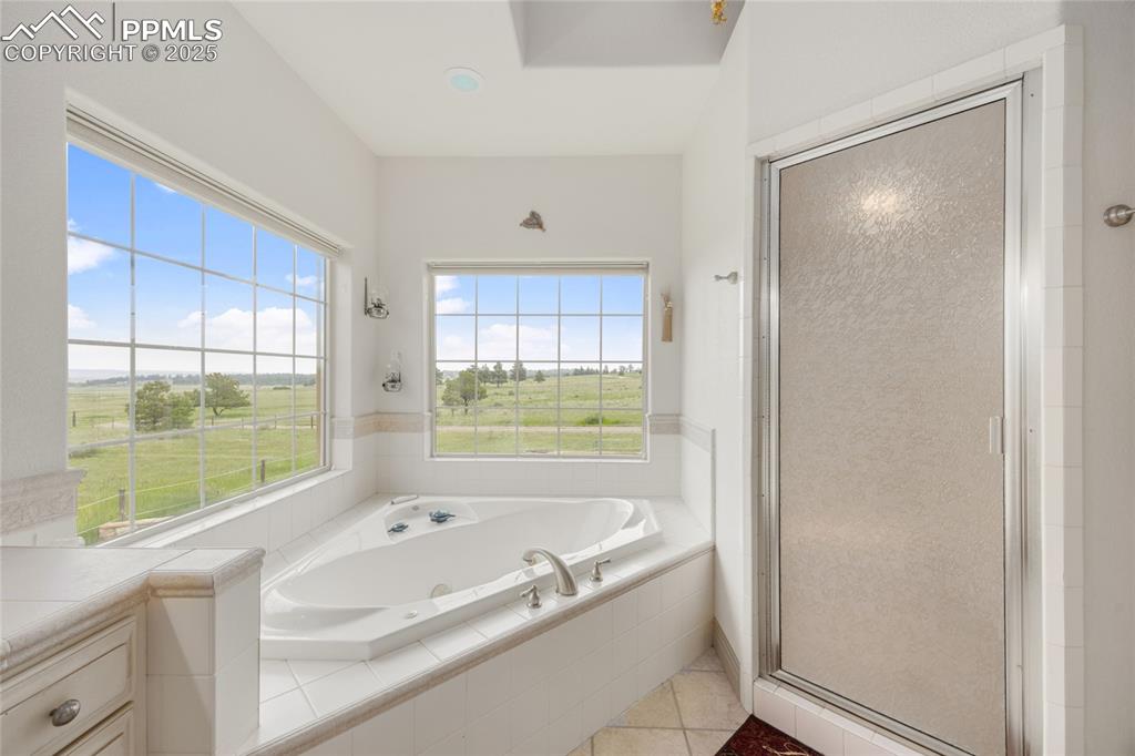 Image 31 of 41: Bathroom featuring healthy amount of natural light, a jetted tub, a shower 