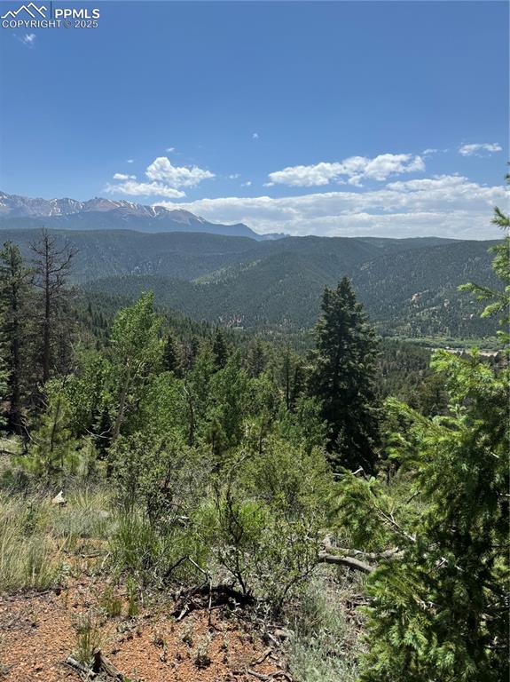 Image 1 of 21: View of mountain background featuring a forest