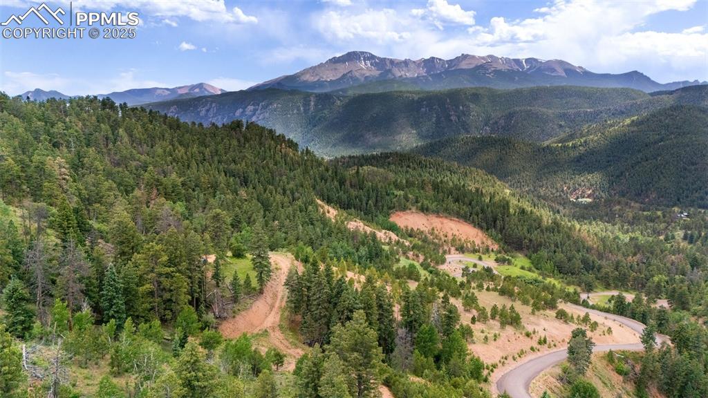 Image 10 of 21: Mountain view with a forest