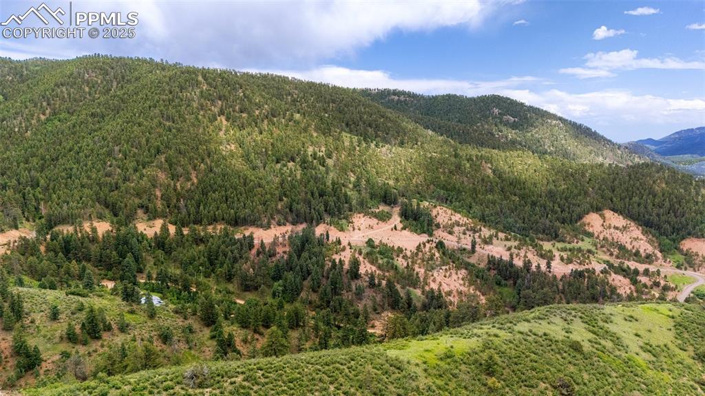 Image 13 of 21: Mountain view featuring a forest