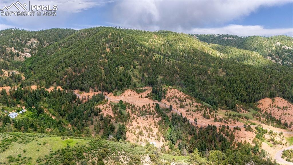 Image 14 of 21: View of mountain background with a forest