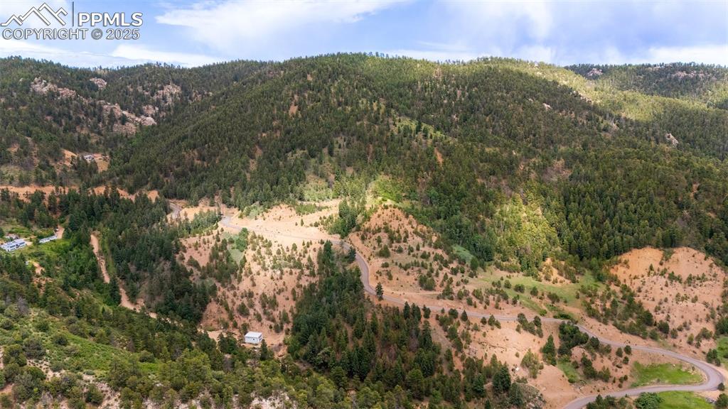 Image 15 of 21: View of mountain background with a forest