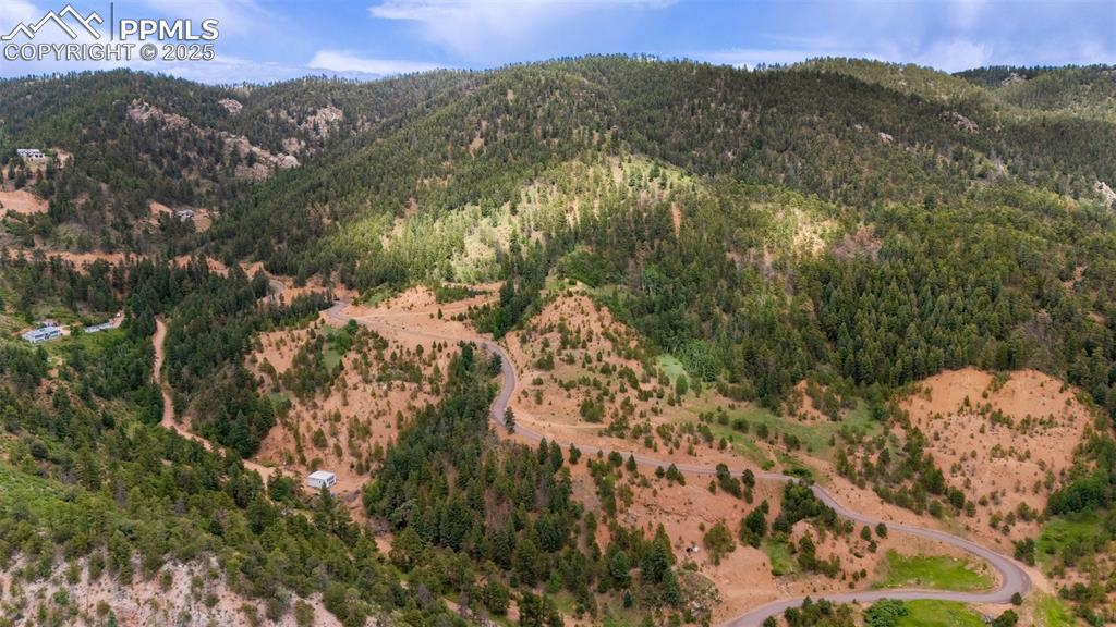Image 16 of 21: View of mountain backdrop featuring a forest