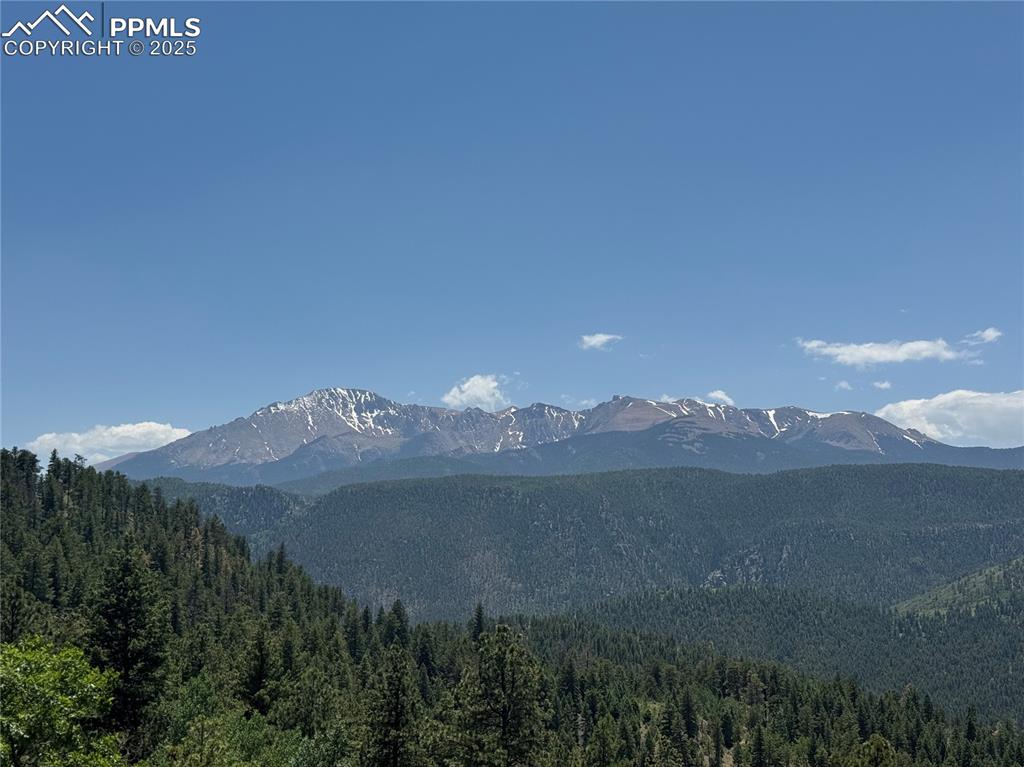 Image 2 of 21: View of mountain background with a heavily wooded area