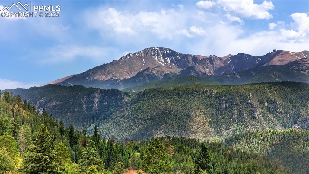 Image 21 of 21: View of mountain backdrop featuring a forest