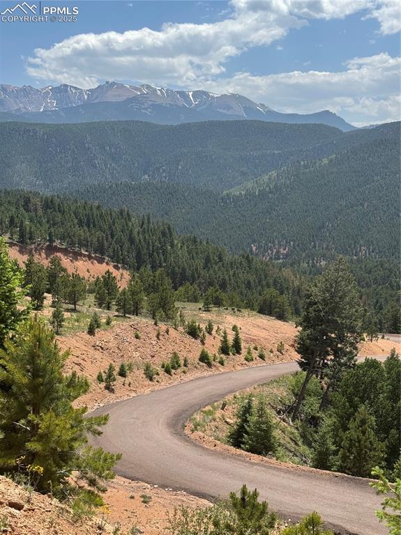 Image 3 of 21: View of mountain background with a heavily wooded area