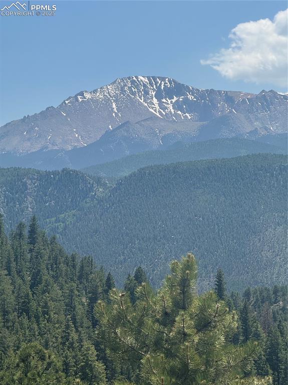 Image 4 of 21: Mountain view with a forest